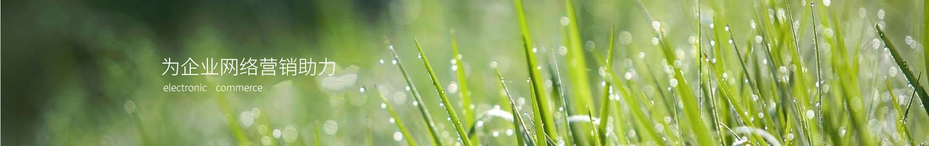 ʤܿƼ޹˾